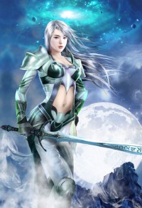 圣武士的次元之旅